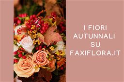 Fiori autunnali su Faxiflora.it