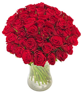 Send a bouquet of roses and arrangements.
