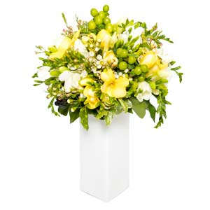 Bouquet fresie gialle