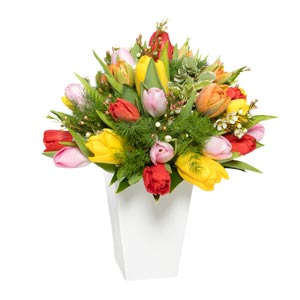 Bouquet of coloured tulips