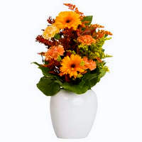 Faxiflora® - Consegna fiori a domicilio